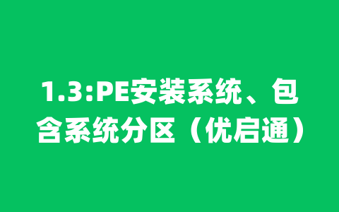 1.3:PE安装系统、包含系统分区（优启通）